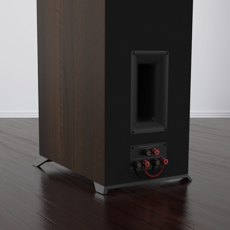 Rear view of the RP 5000 F showing bi amping or bi wiring mobile