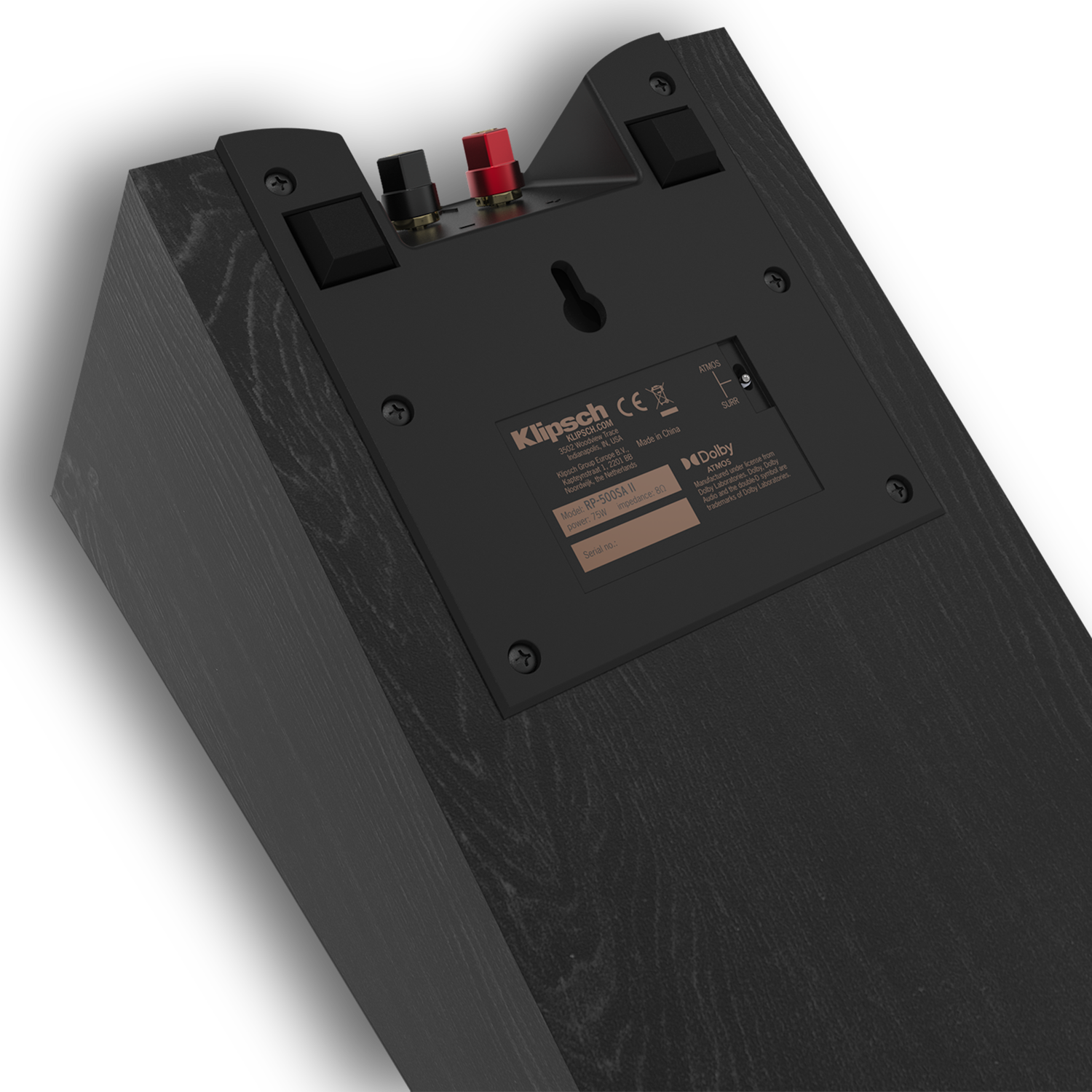 RP 500 SA II closeup of rear panel with switchable crossover mobile